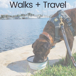 Walks + Travel