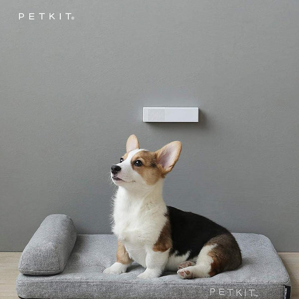 Instachew PETKIT Pura Air Smart Odour Eliminator, Petkit
