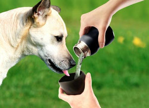 Mobile Dog Gear 9.5 Oz Water Bottle